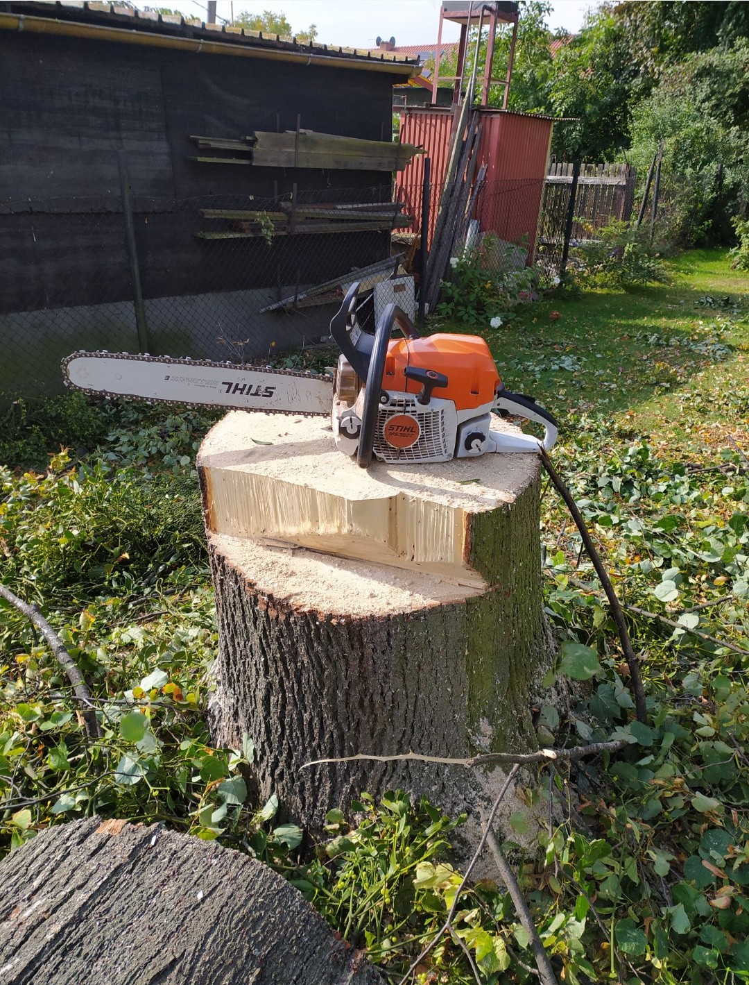 Wycinka drzew pilarka